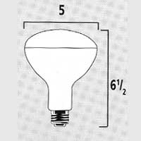 SPE250